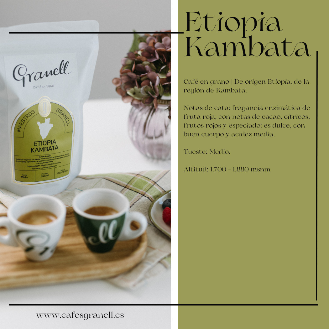 Pack Café Fruité de Spécialité en Grains