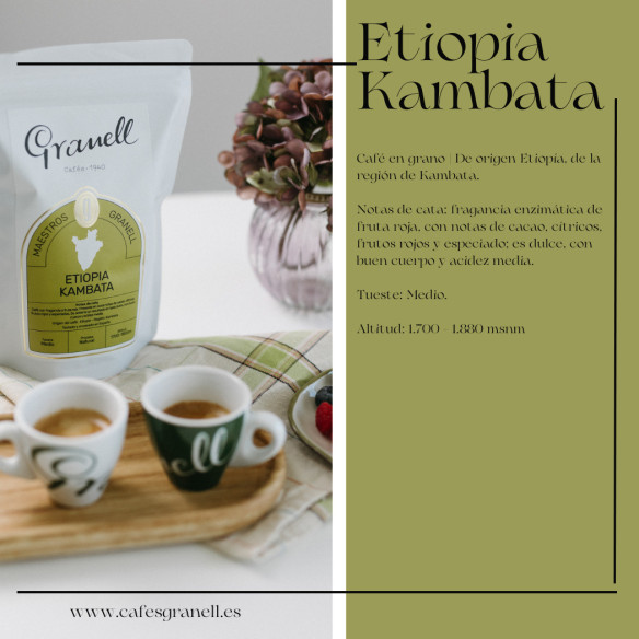 Pack Café Fruité de Spécialité en Grains