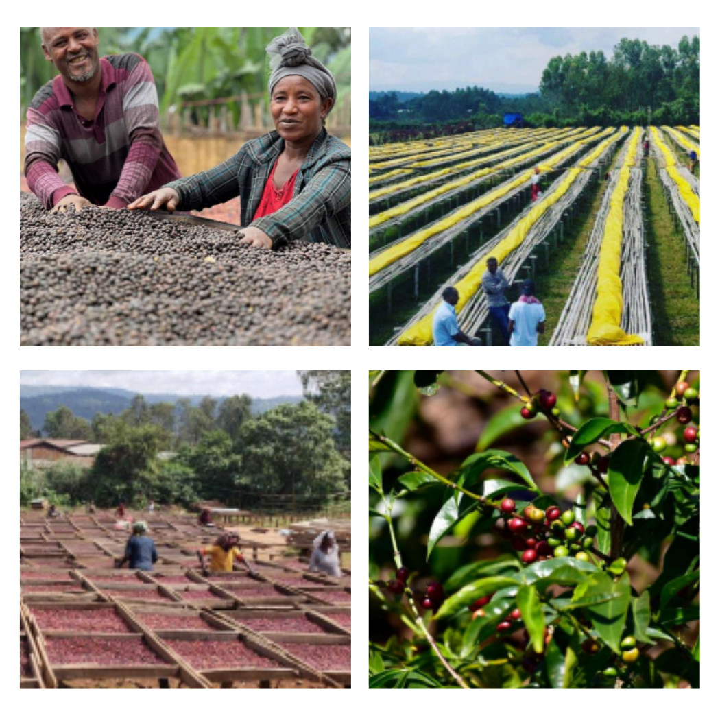 Etiopia Yirgacheffe Cherry – 125g