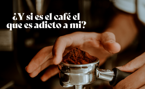 Les 58 meilleures phrases sur le café